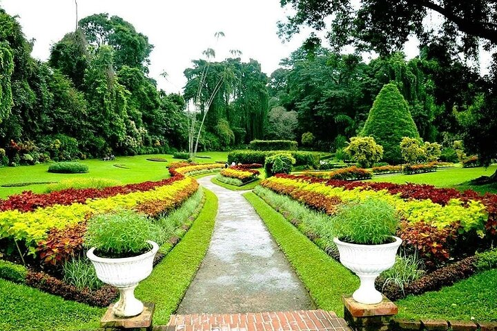 Peradeniya Botanical Garden.